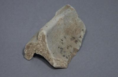 sherd