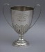 The Challenge Cup for Junior Fours